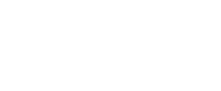 Job Consulting